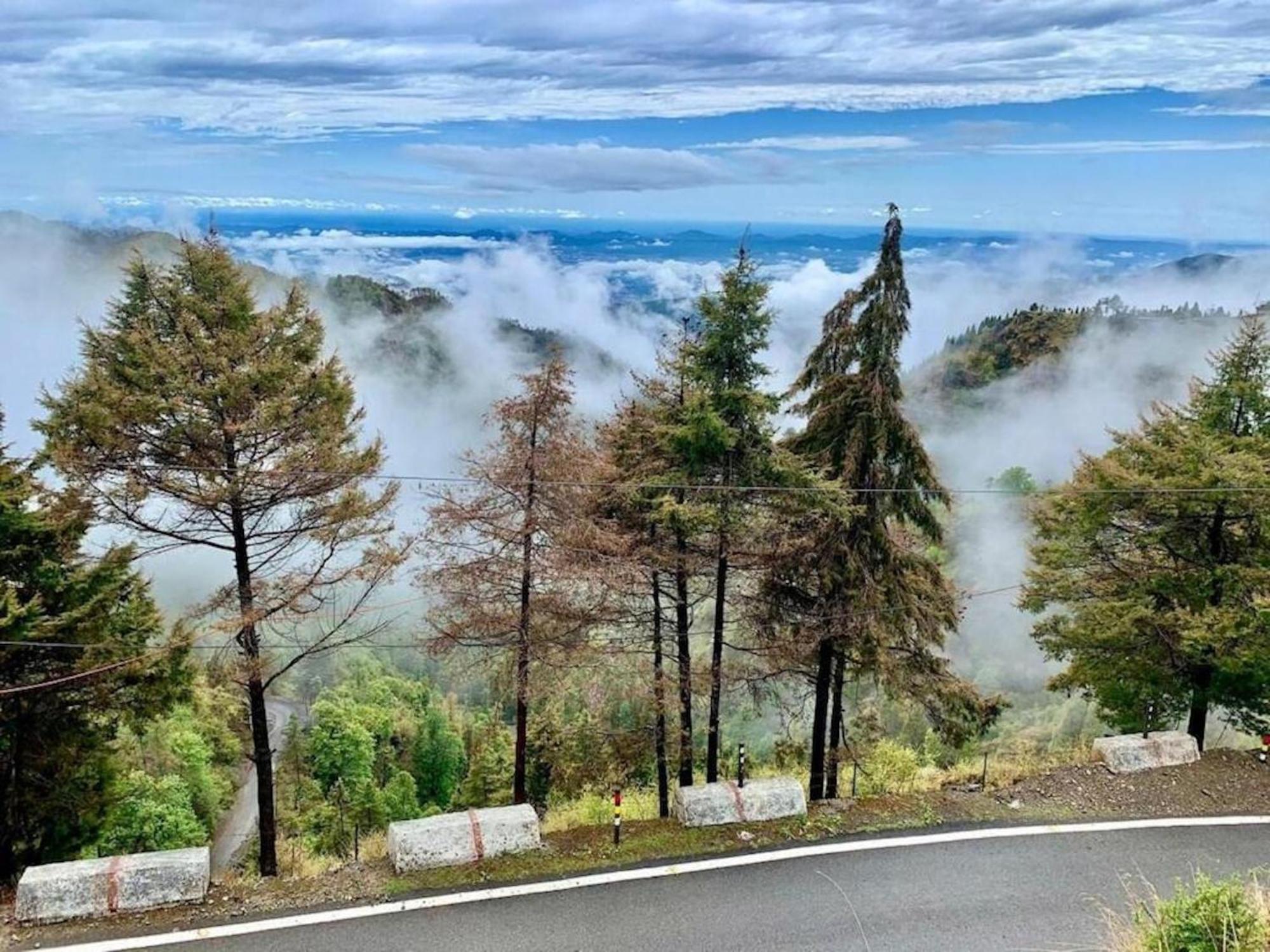 La Riqueza Kanatal #Mountain View Rooms # Near To Kodia Forest Jungle Saafari # 05 Mins From Adventure Activities Eksteriør billede