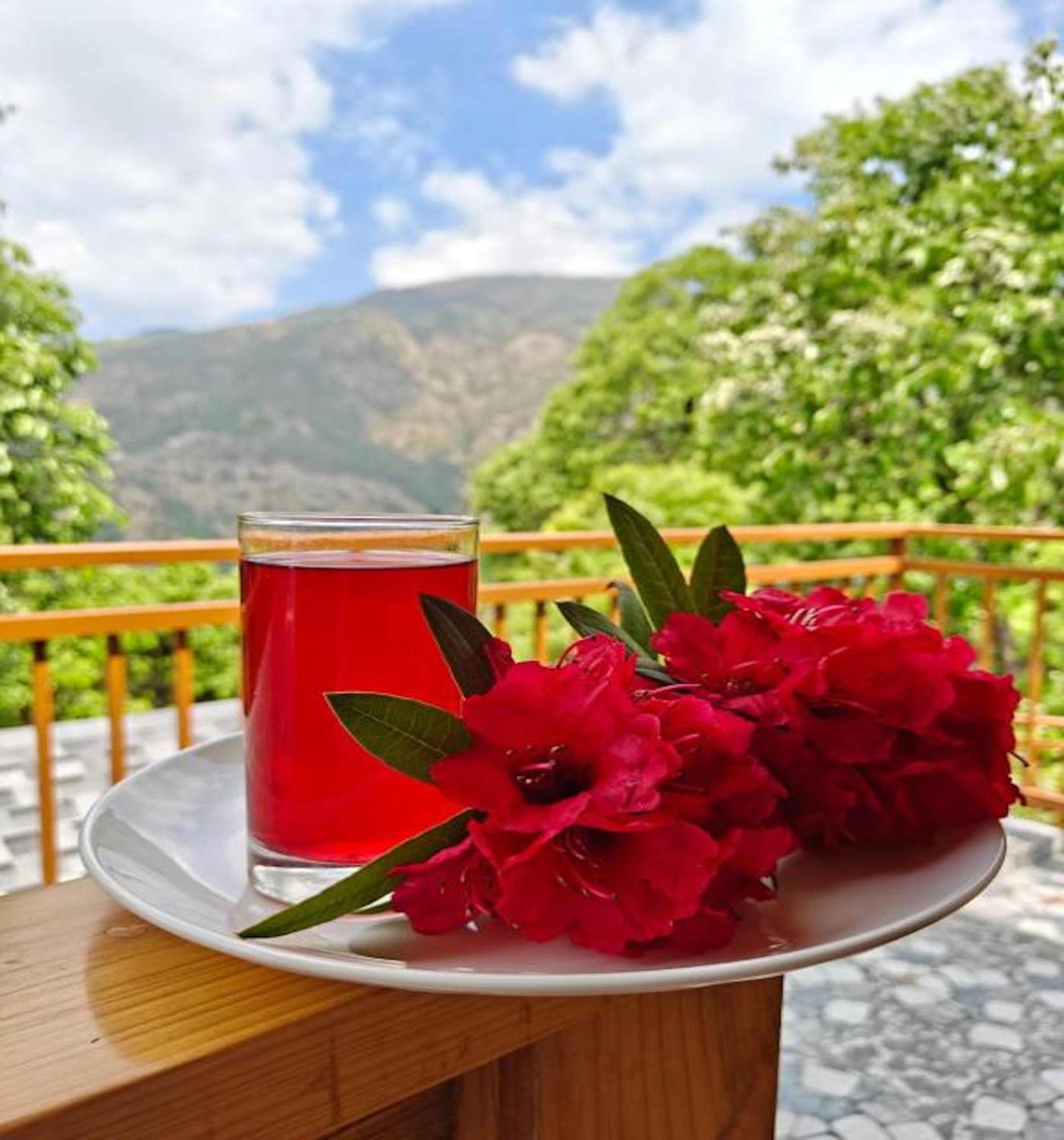La Riqueza Kanatal #Mountain View Rooms # Near To Kodia Forest Jungle Saafari # 05 Mins From Adventure Activities Eksteriør billede